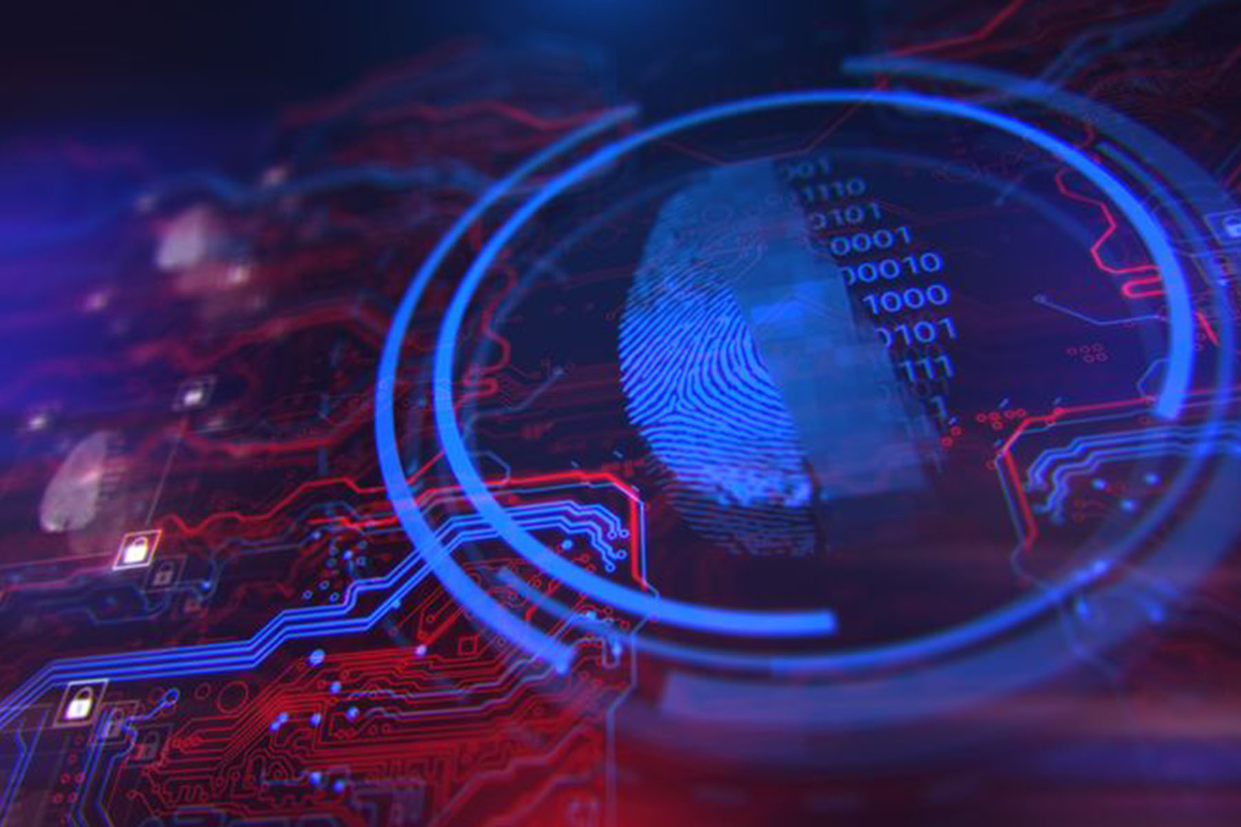 2-Minutes With: Daniela Almeida Lourenco, Business ISO at CarNext.com