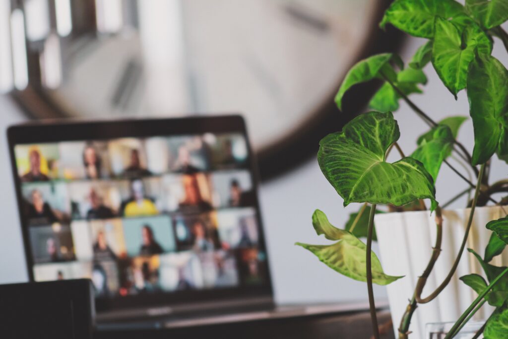 a laptop with video conference screen and a plant on the right side